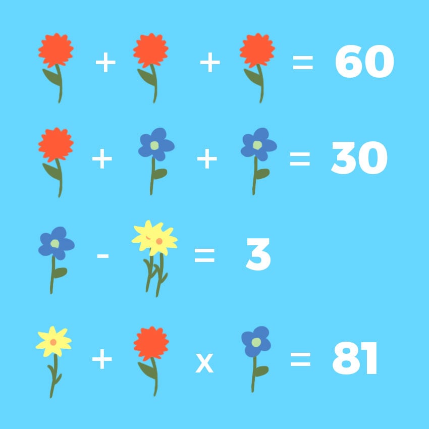 embeddedIMG_flowermathproblem_850px_61.jpg