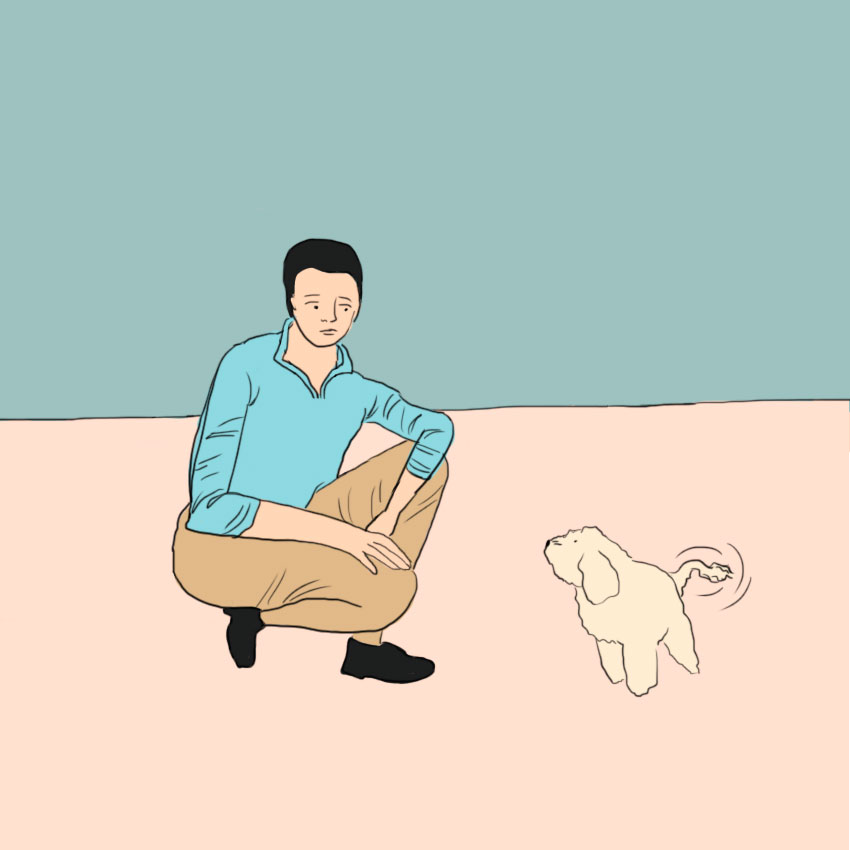 embeddedIMG_greetingadog_850px_3.jpg