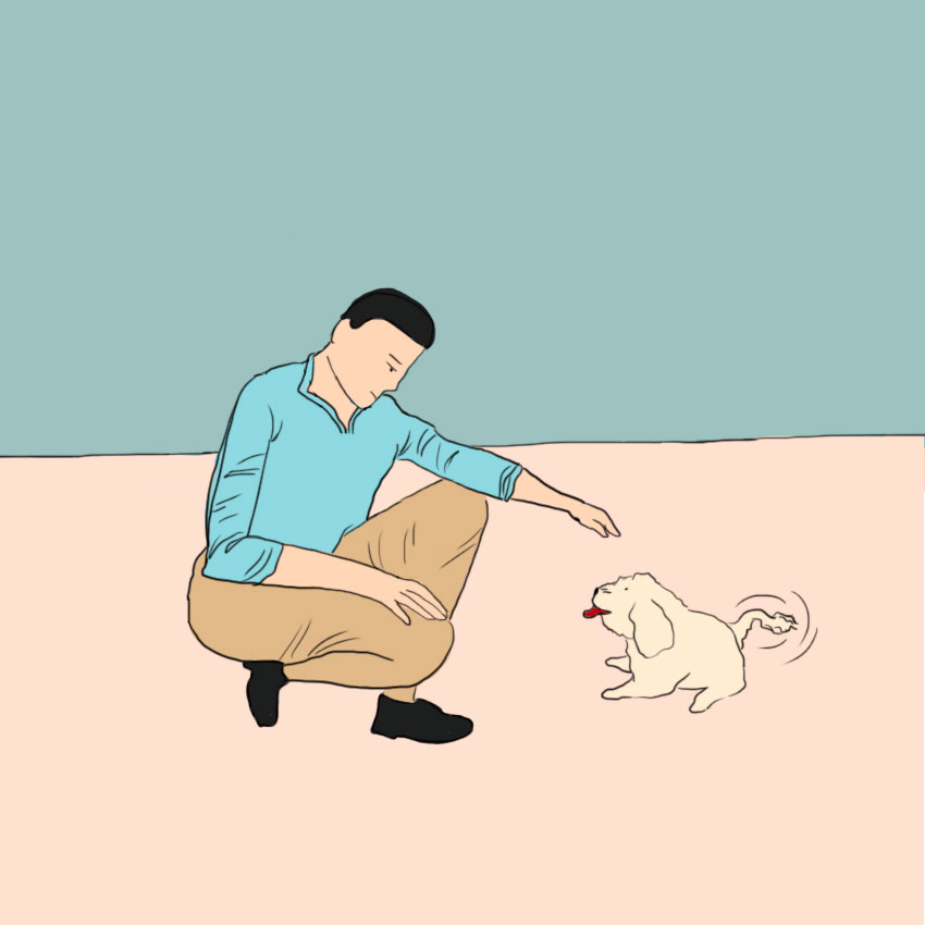 embeddedIMG_greetingadog_850px_4.jpg