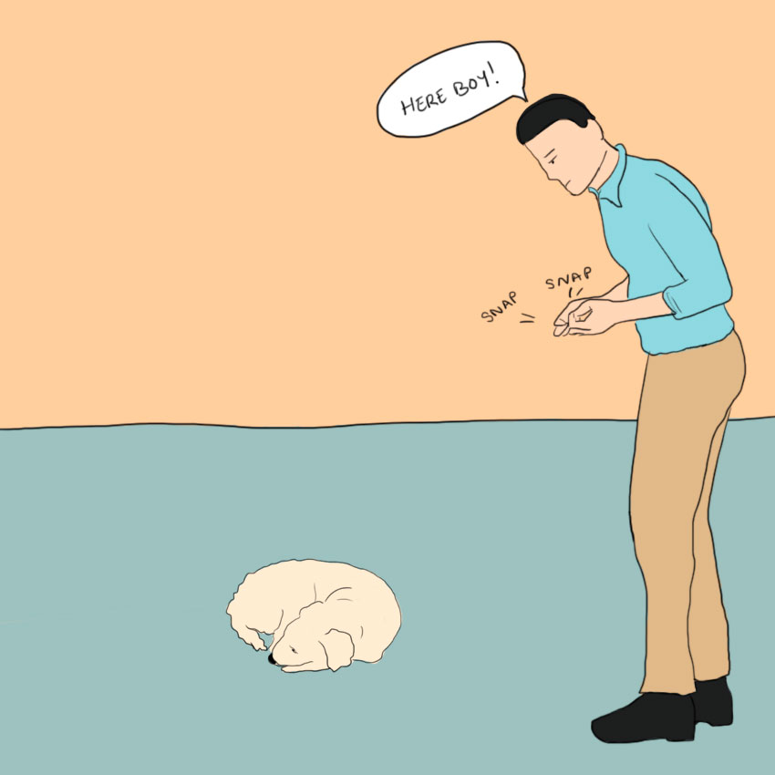 embeddedIMG_greetingadog_850px_6.jpg