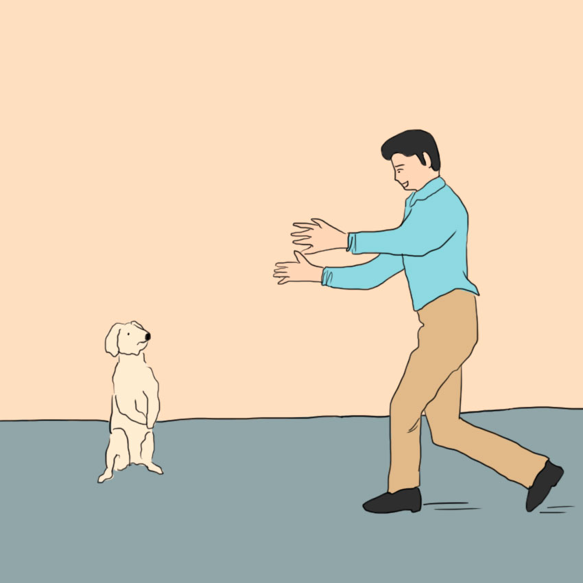 embeddedIMG_greetingadog_850px_7.jpg