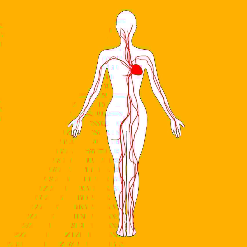 embeddedIMG_healthbenefitsofsquash_850px_2.jpg