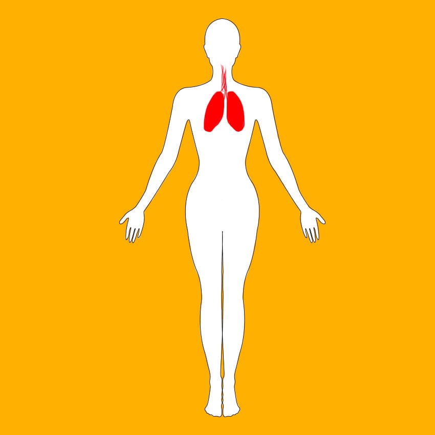 embeddedIMG_healthbenefitsofsquash_850px_3.jpg