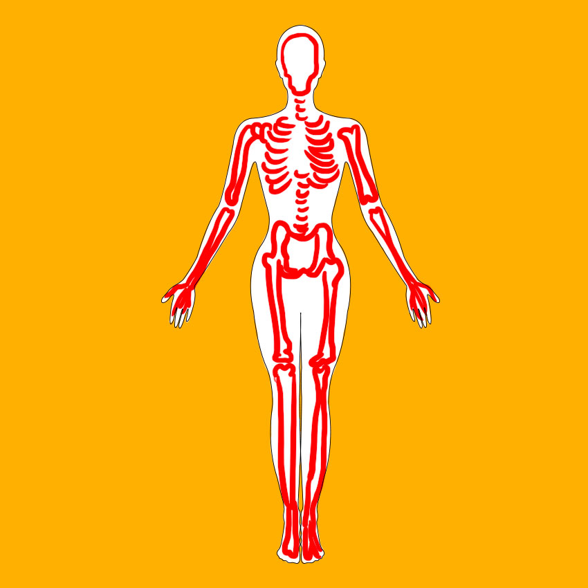 embeddedIMG_healthbenefitsofsquash_850px_4.jpg