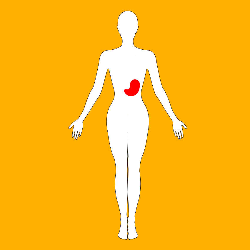 embeddedIMG_healthbenefitsofsquash_850px_5.jpg