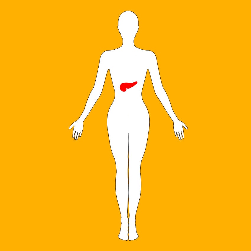 embeddedIMG_healthbenefitsofsquash_850px_7.jpg