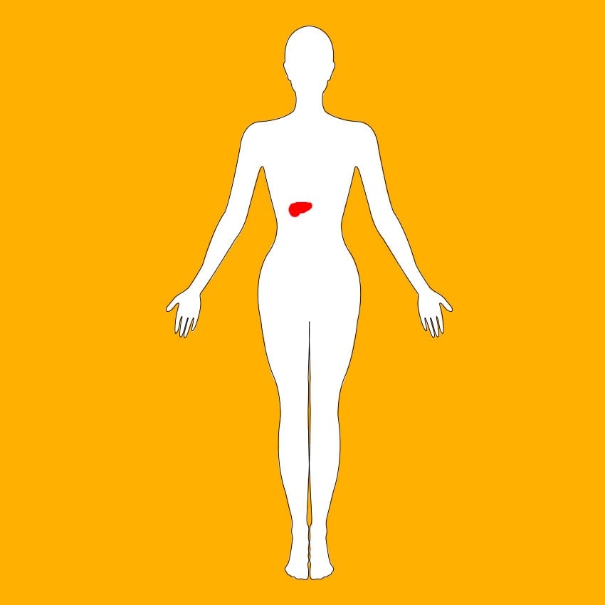 embeddedIMG_healthbenefitsofsquash_850px_8.jpg