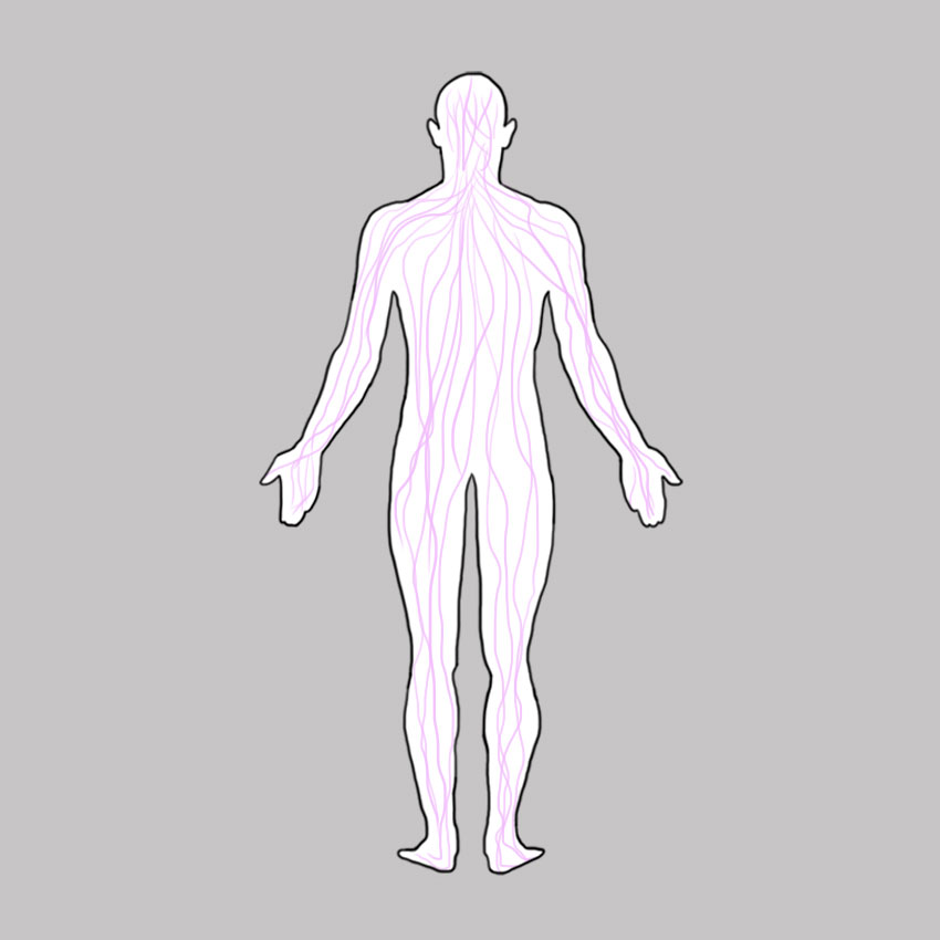 embeddedIMG_healthbenefitsoftomatoes_850px_6.jpg