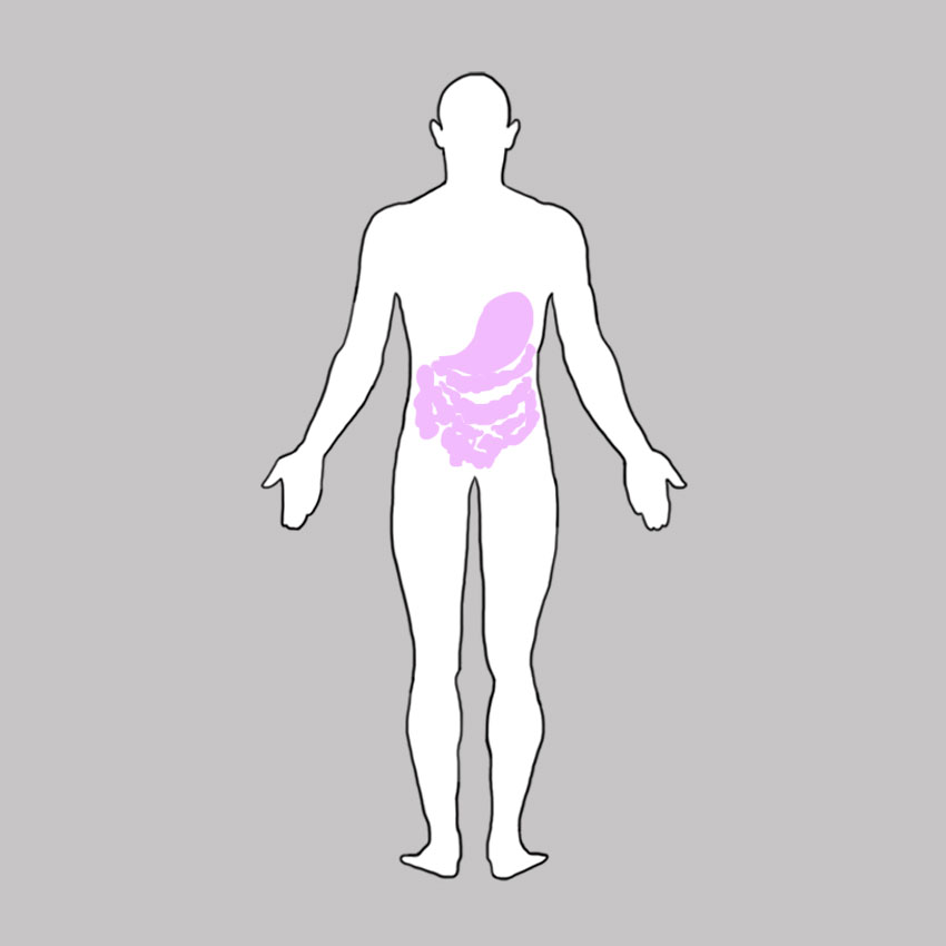 embeddedIMG_healthbenefitsoftomatoes_850px_8.jpg