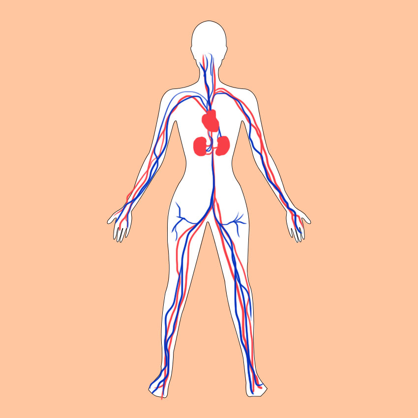 embeddedIMG_howtoimprovecirculationforhealthylegs_850px_1.jpg