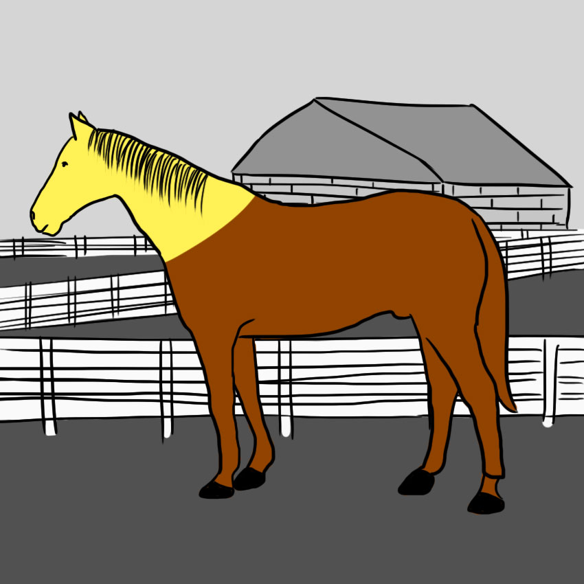 embeddedIMG_howtoreadahorse_850px_2.jpg