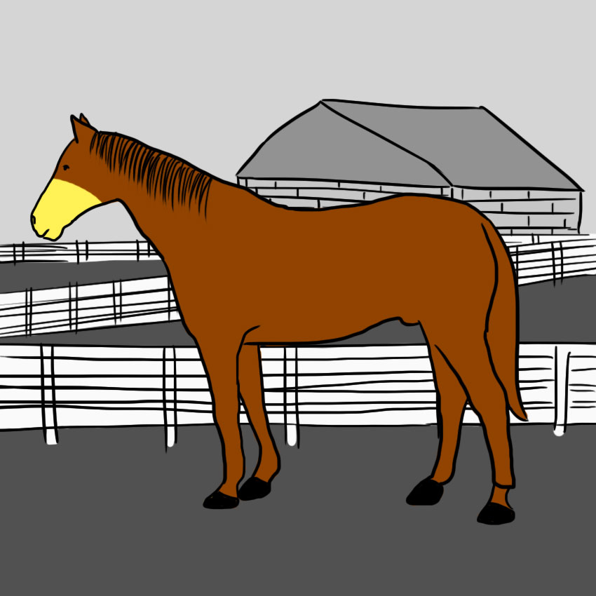 embeddedIMG_howtoreadahorse_850px_5.jpg