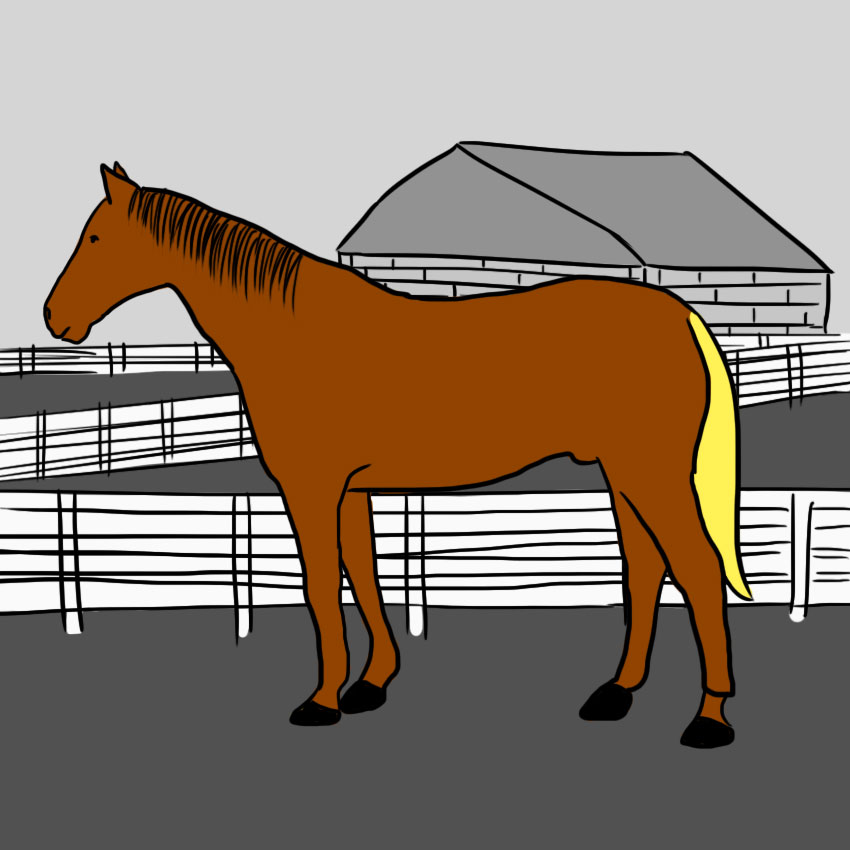 embeddedIMG_howtoreadahorse_850px_7.jpg