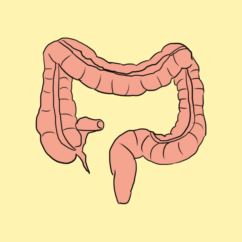 embeddedIMG_managingulcerativecolitisthroughinformeddietchoices_850px_1.jpg