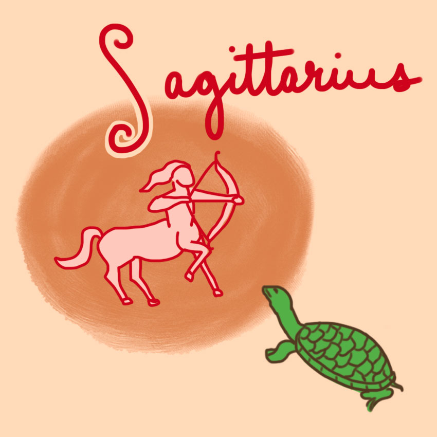 embeddedIMG_perfectpetforyourzodiacsign_850px_10.jpg