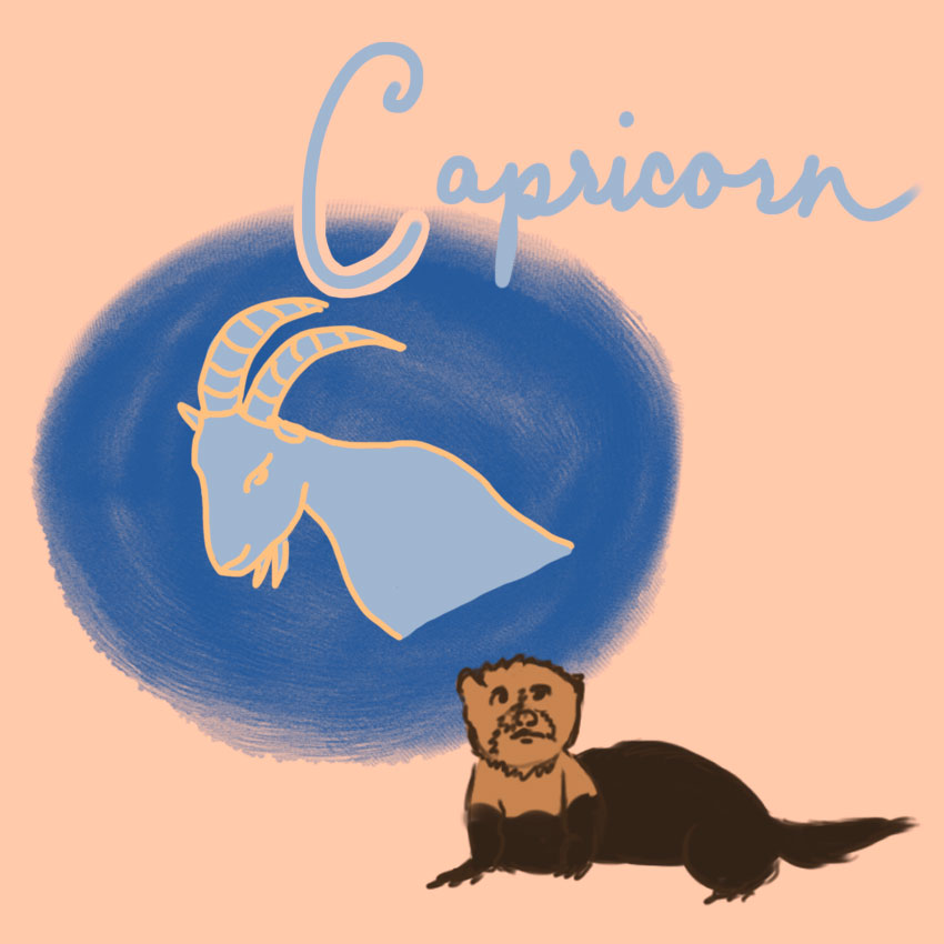 embeddedIMG_perfectpetforyourzodiacsign_850px_11.jpg