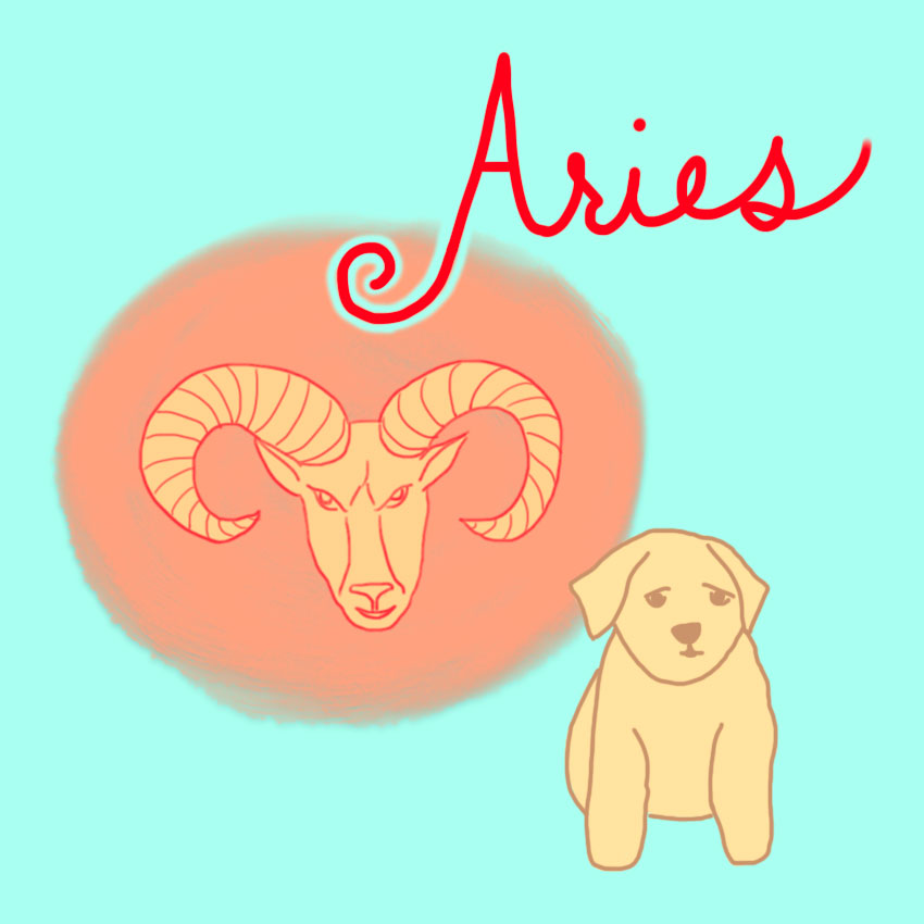 embeddedIMG_perfectpetforyourzodiacsign_850px_2.jpg