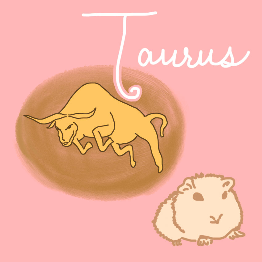 embeddedIMG_perfectpetforyourzodiacsign_850px_3.jpg
