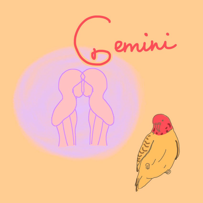 embeddedIMG_perfectpetforyourzodiacsign_850px_4.jpg