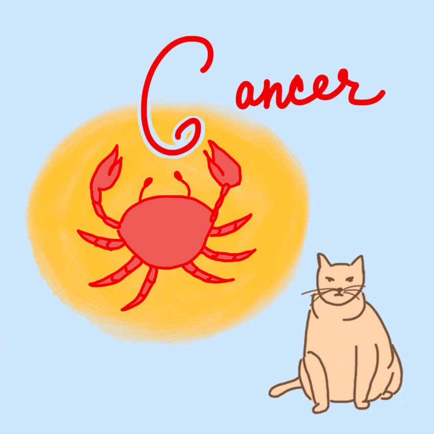 embeddedIMG_perfectpetforyourzodiacsign_850px_5.jpg