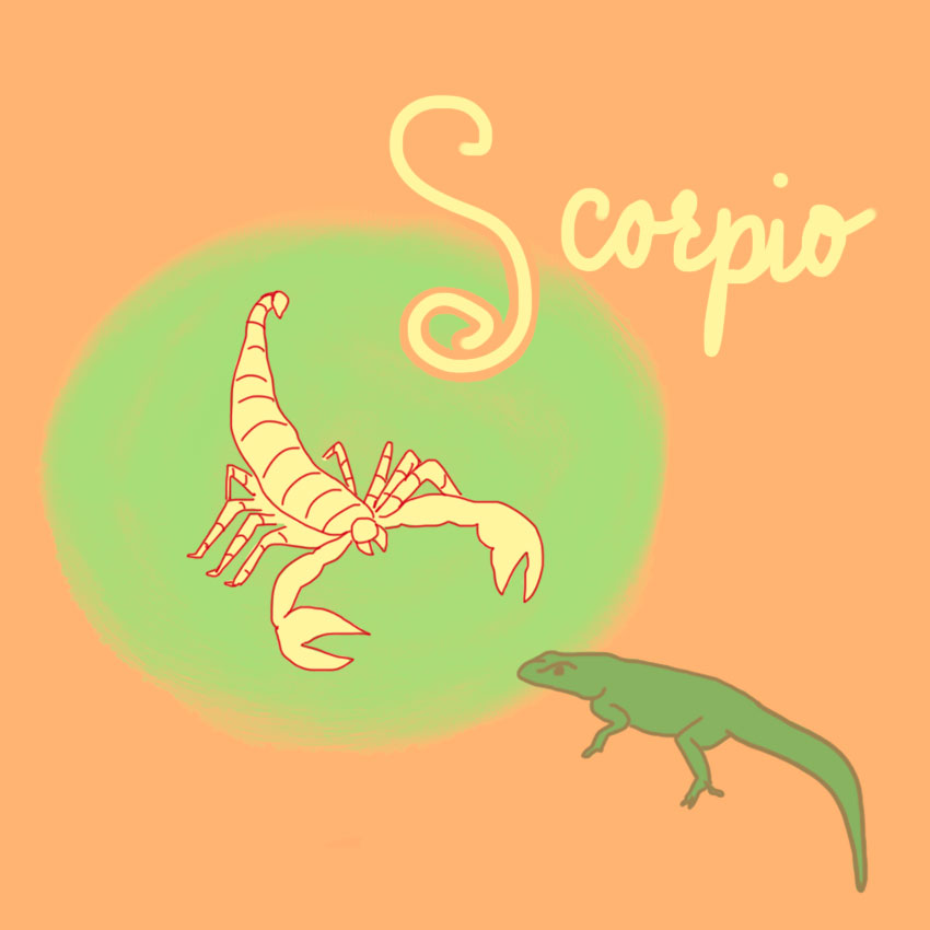 embeddedIMG_perfectpetforyourzodiacsign_850px_9.jpg