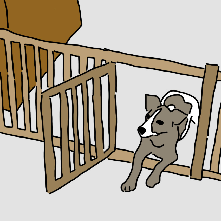 embeddedIMG_petproof_850px_1.jpg