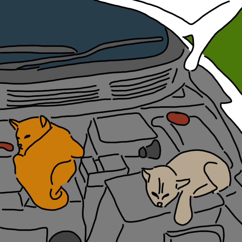 embeddedIMG_petproof_850px_2.jpg
