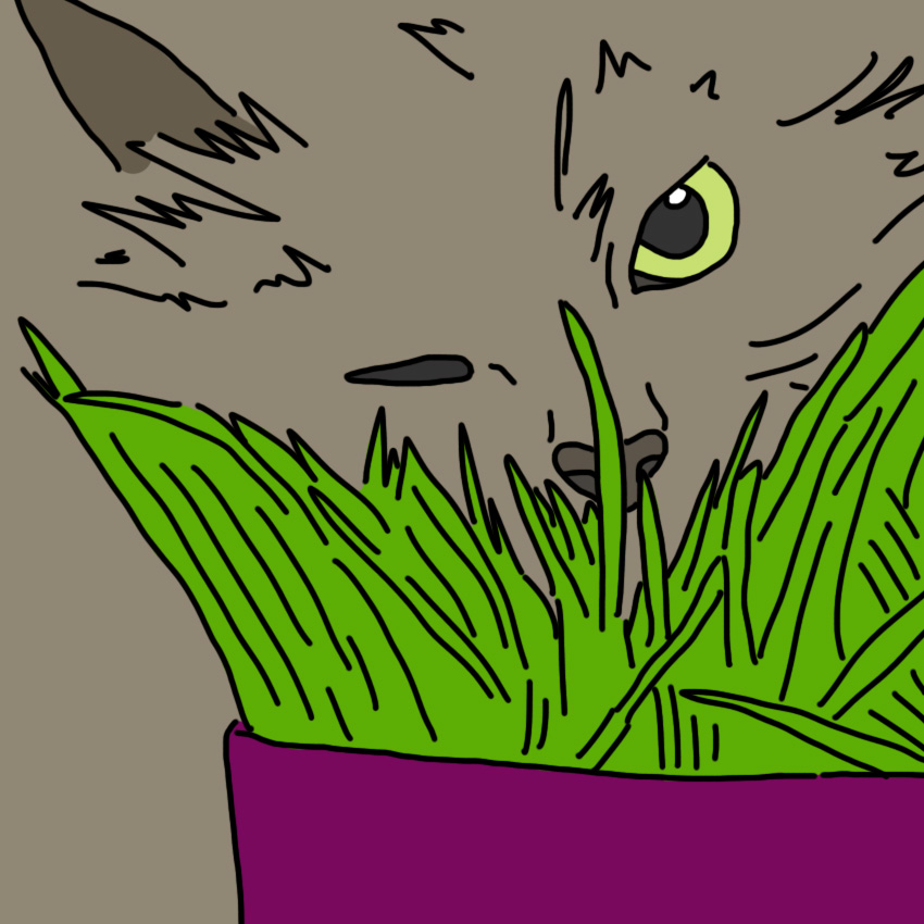 embeddedIMG_petproof_850px_3.jpg