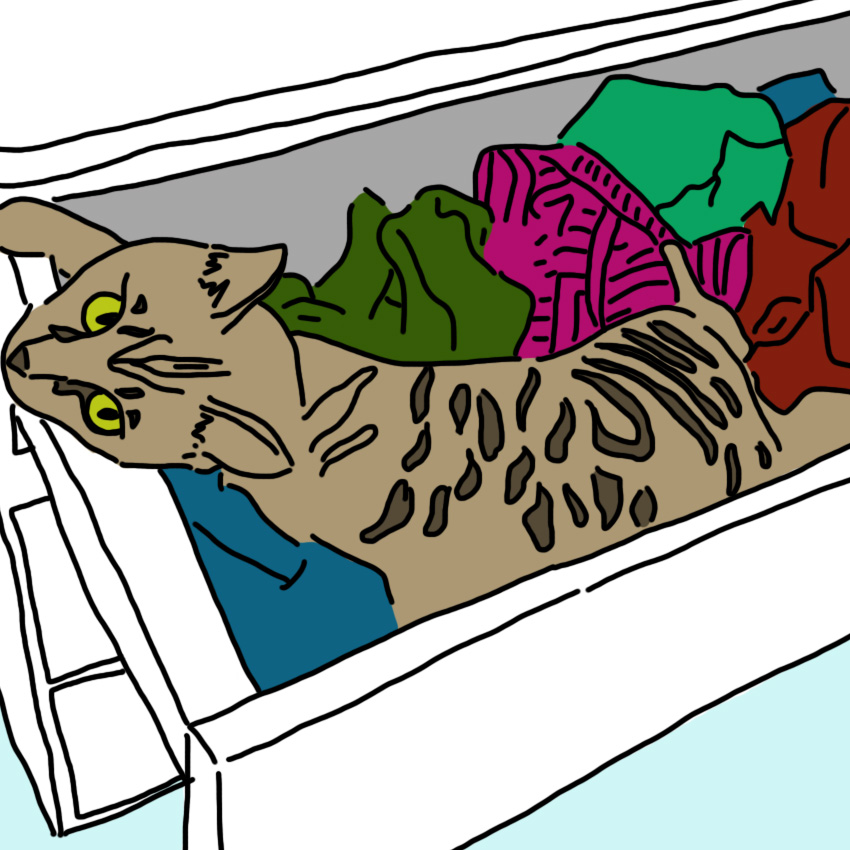 embeddedIMG_petproof_850px_4.jpg