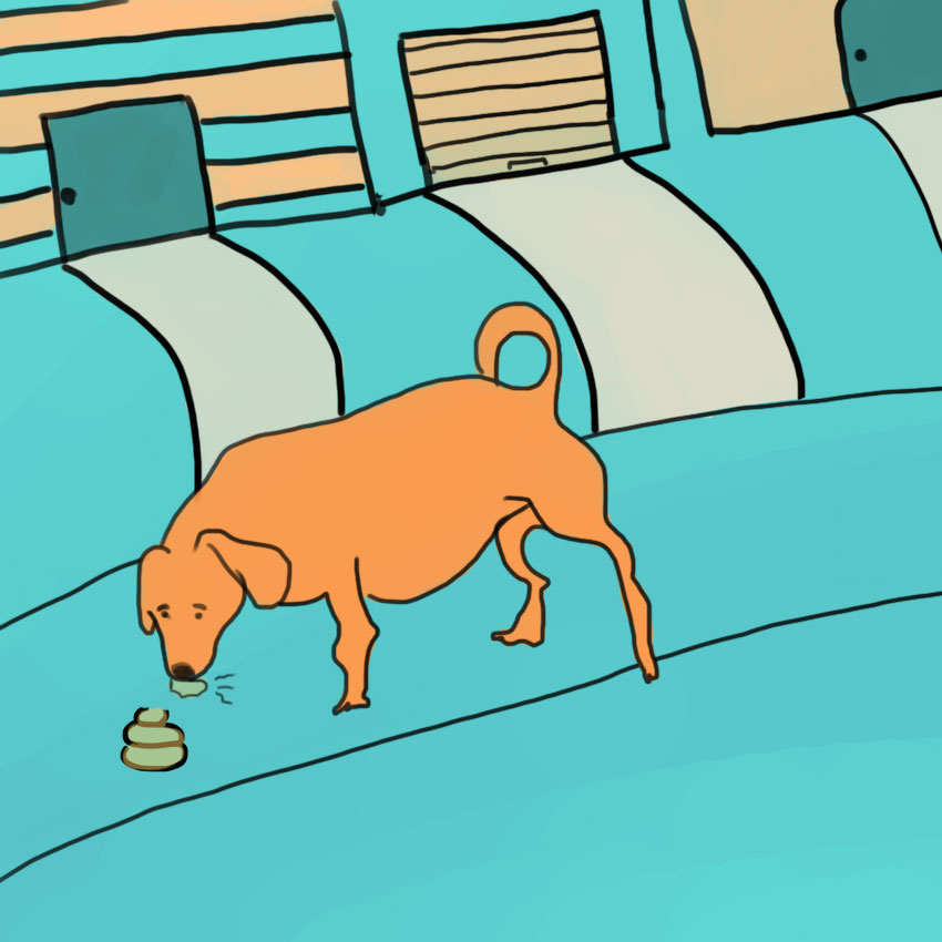 embeddedIMG_questionsaboutdogs_850px_3.jpg