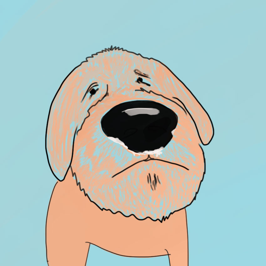 embeddedIMG_questionsaboutdogs_850px_4.jpg