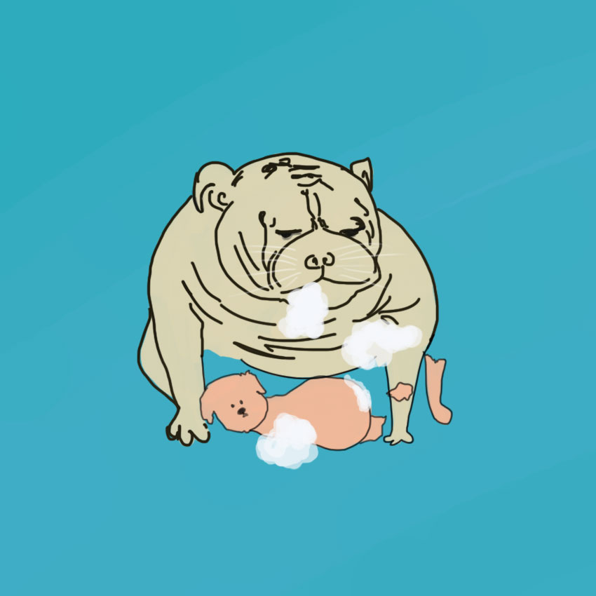 embeddedIMG_questionsaboutdogs_850px_5.jpg