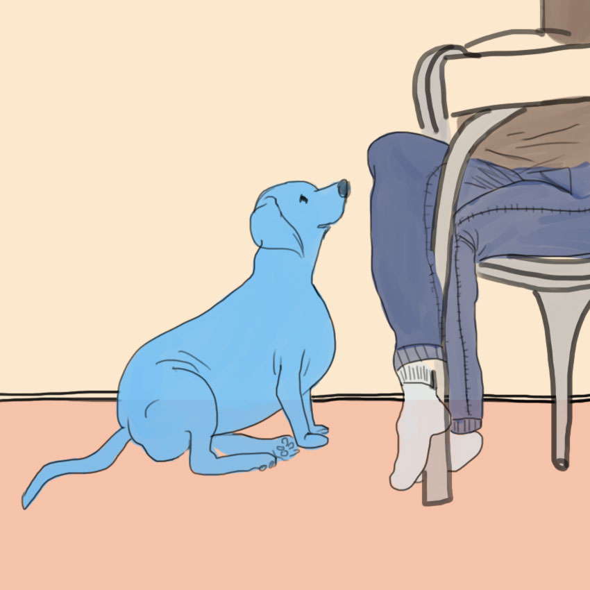 embeddedIMG_questionsaboutdogs_850px_9.jpg