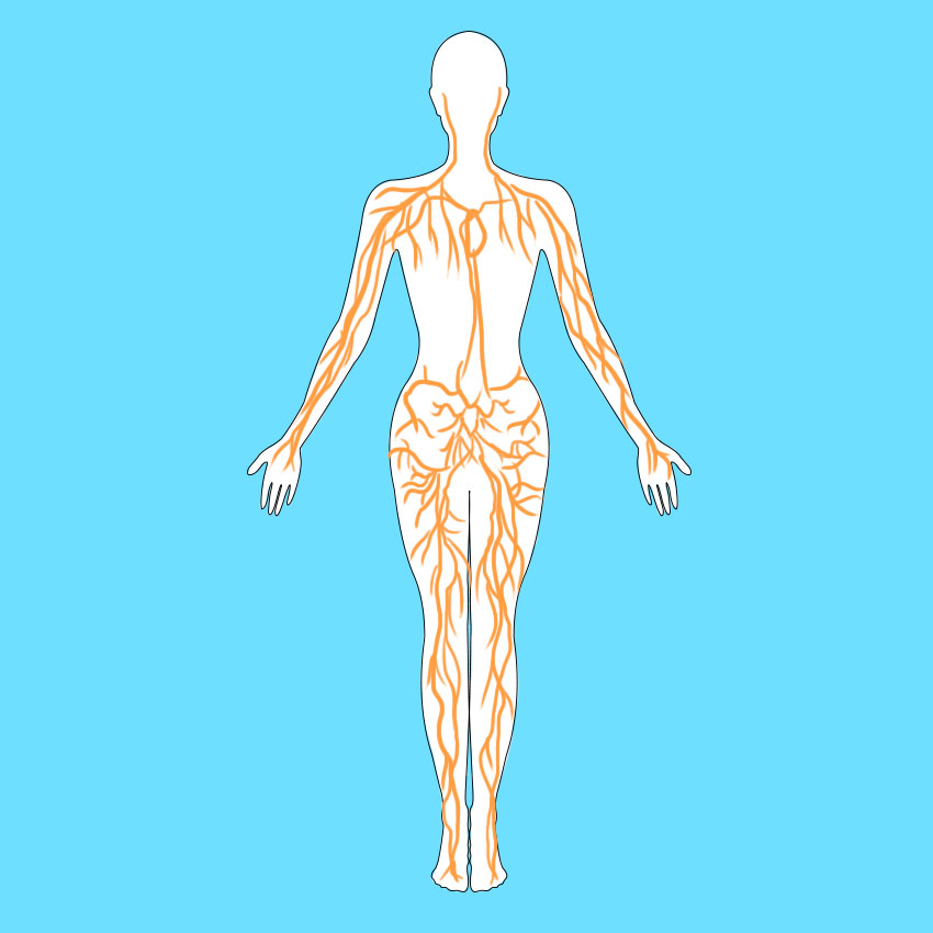 embeddedIMG_shingles_850px_4.jpg