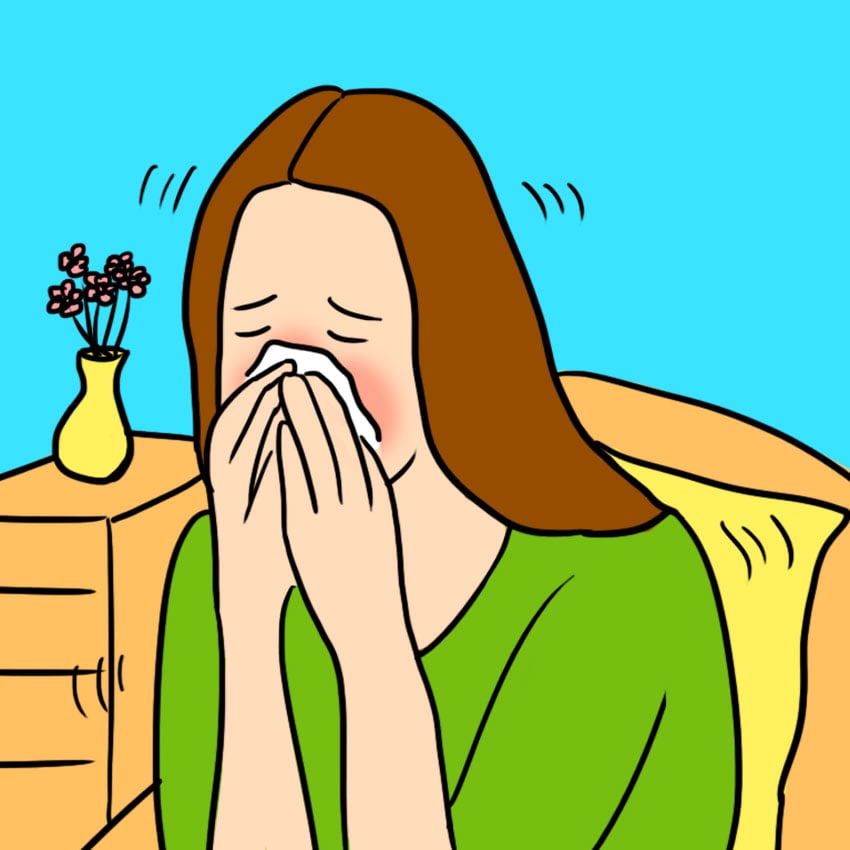 embeddedIMG_shingles_850px_6.jpg