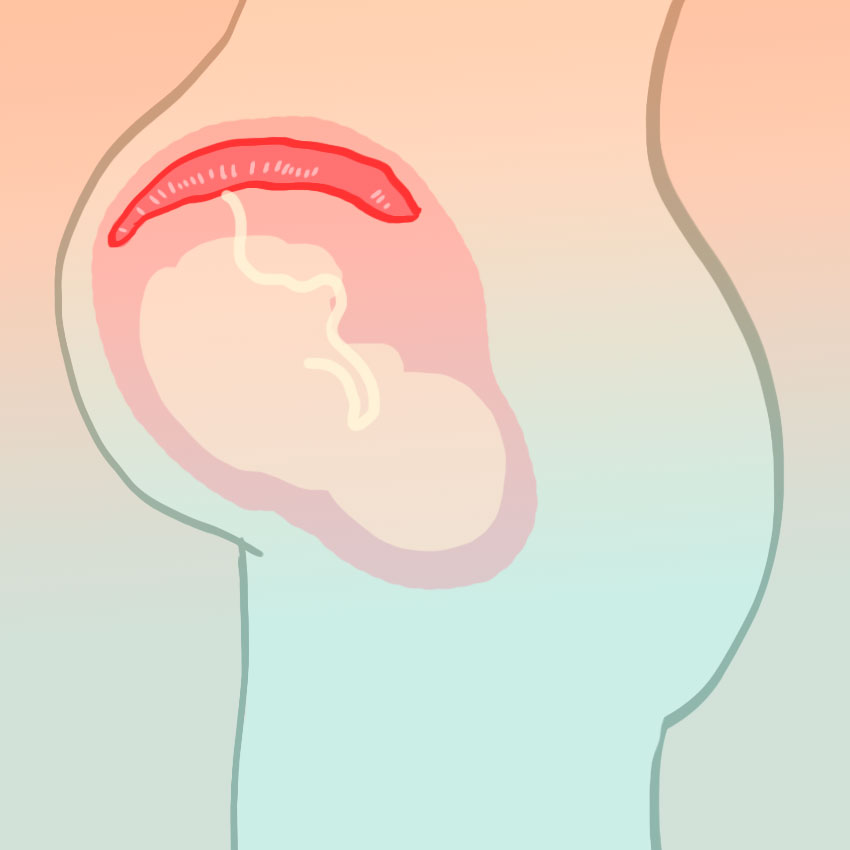 embeddedIMG_surprisingpregnancyfacts_850px_6.jpg
