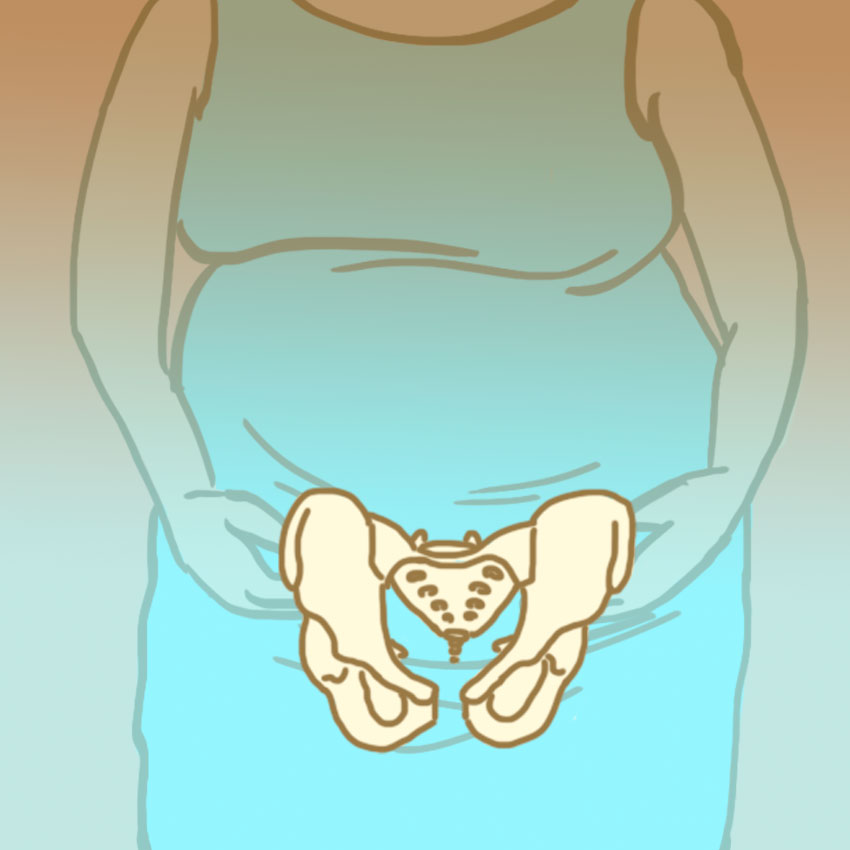 embeddedIMG_surprisingpregnancyfacts_850px_7.jpg