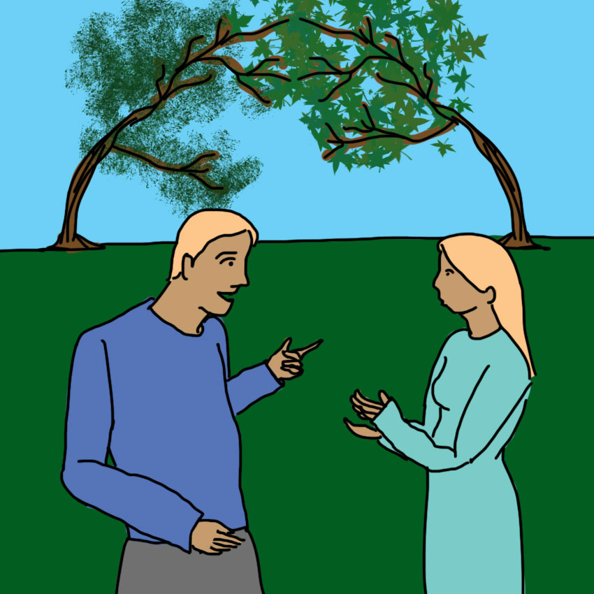 embeddedIMG_talkingtrees_850px_1.jpg