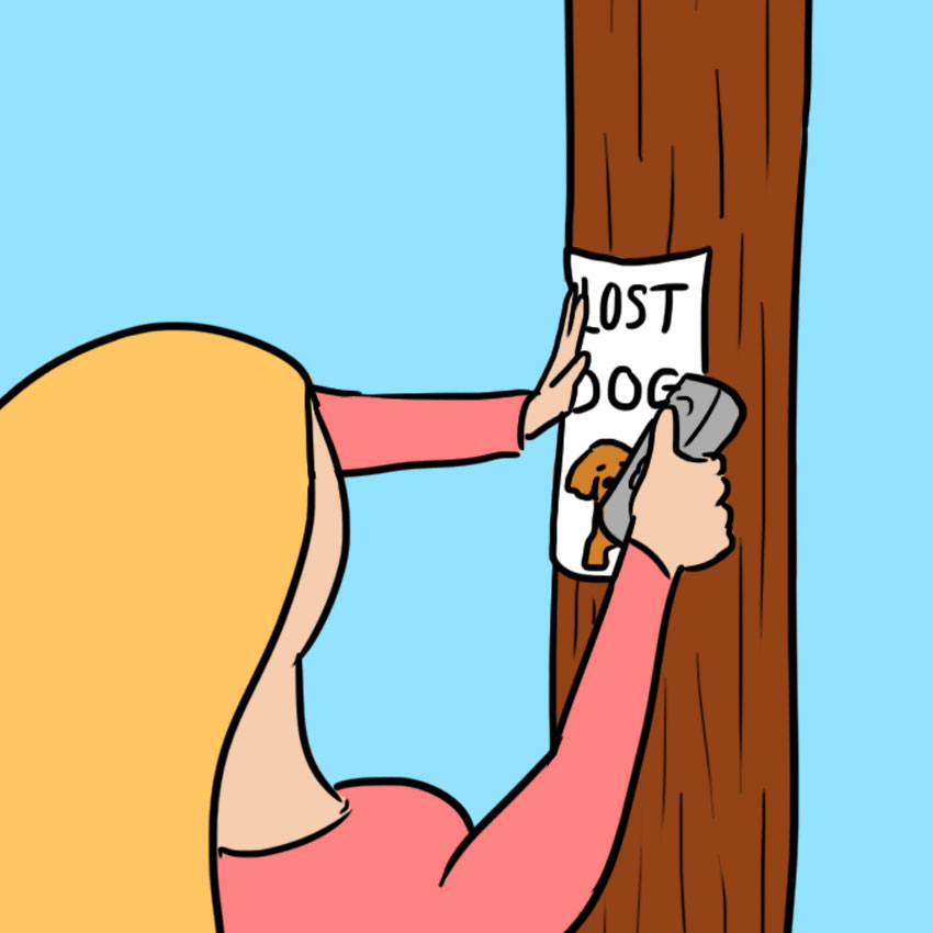 embeddedIMG_twelvehrslostdog_850px_6.jpg