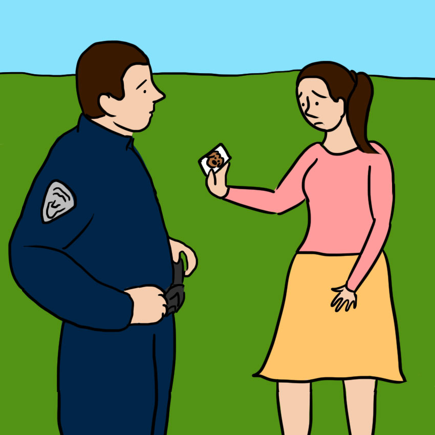 embeddedIMG_twelvehrslostdog_850px_8.jpg