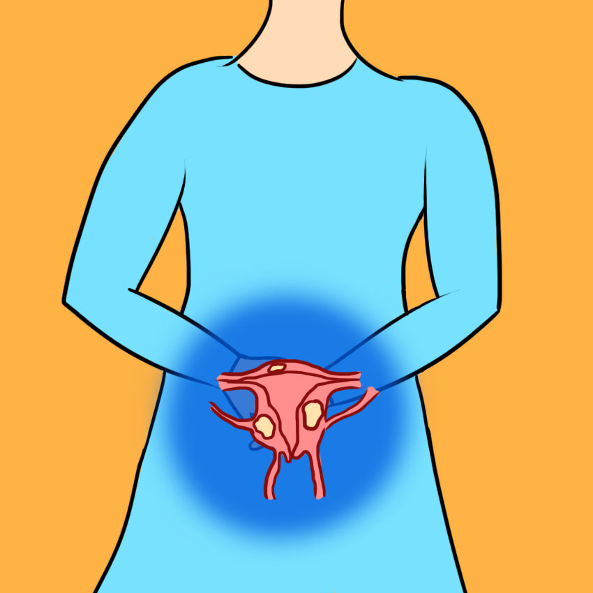 embeddedIMG_whentogotothegyno_850px_6.jpg