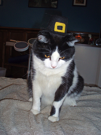 enhanced-buzz-7789-1290531743-2.jpg
