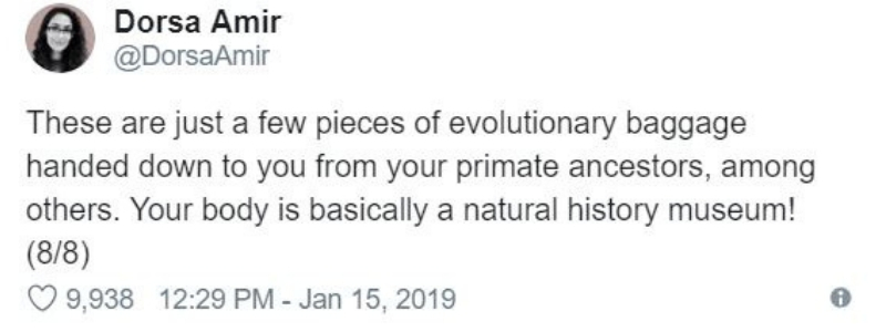 evolutionary8.jpg