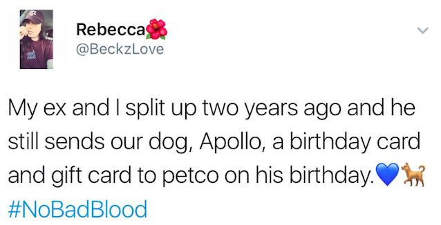 ex-husband-sends-card-for-dog-1.jpg