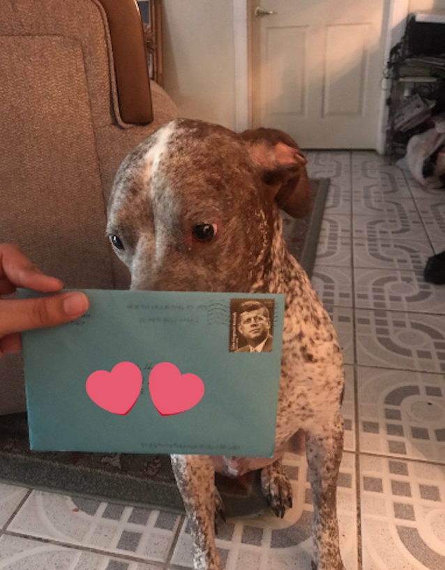 ex-husband-sends-card-for-dog-2.jpg