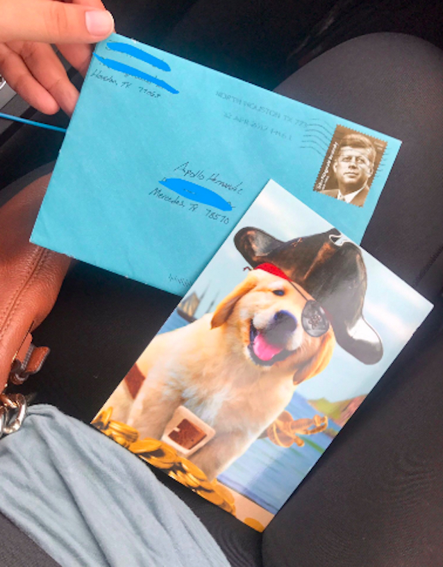 ex-husband-sends-card-for-dog-3.jpg