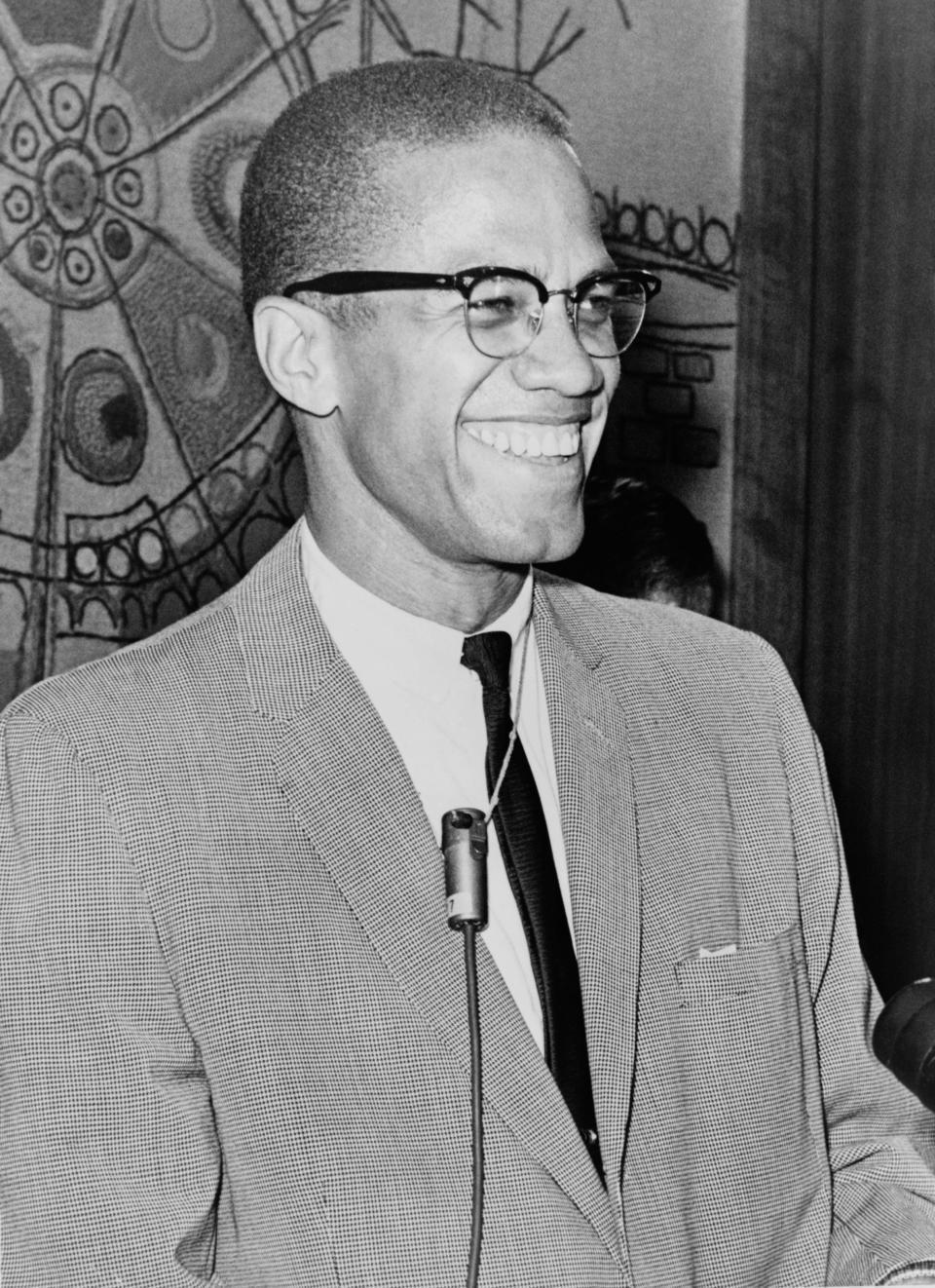 extra_large_cropped_Malcolm_X_NYWTS_2a.jpg