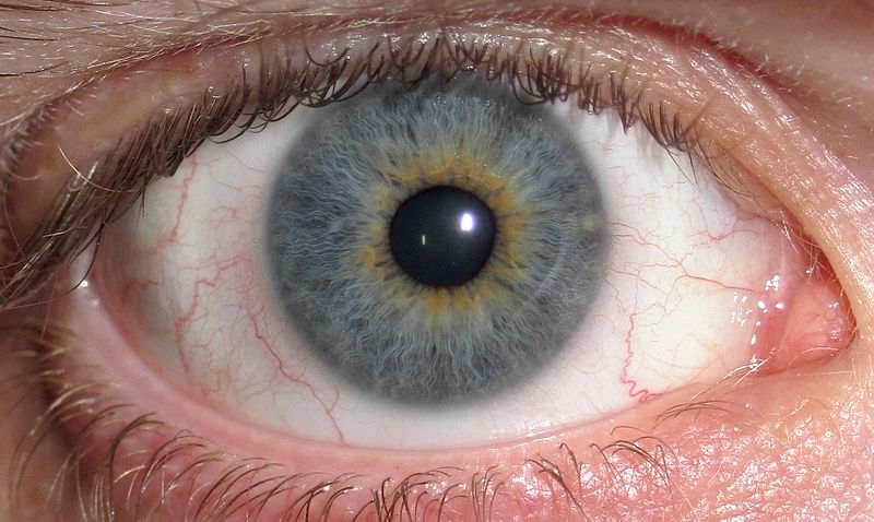 eye-6.jpg