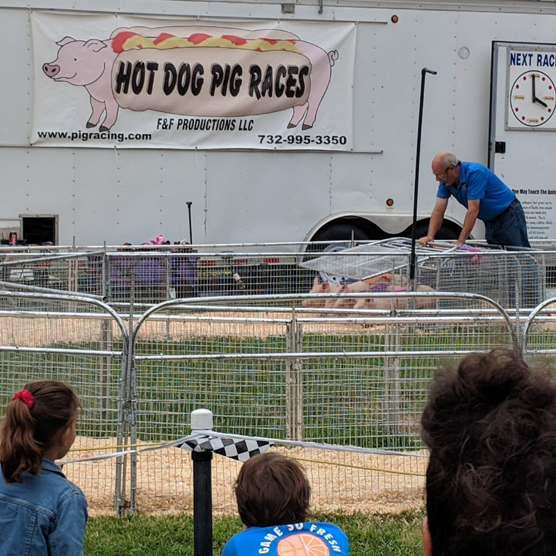 fair3.jpg