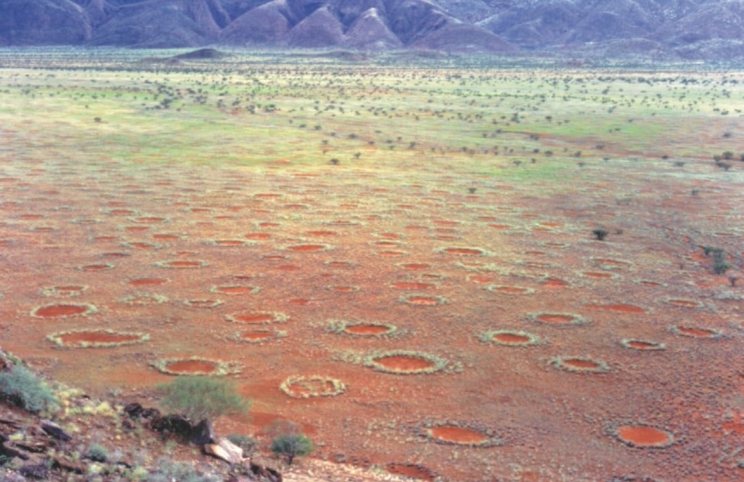 fairycircle_4.jpg fairycircle_4.jpg